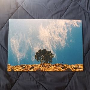 Painted landscape art